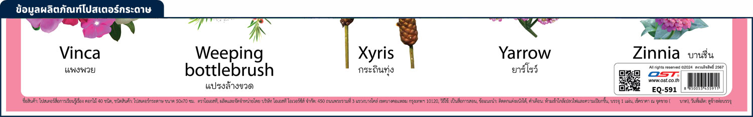 สคบ.โปสเตอร์ความรู้ ชุดคำศัพท์ ดอกไม้ 40 ชนิด กระดาษ EQ-591