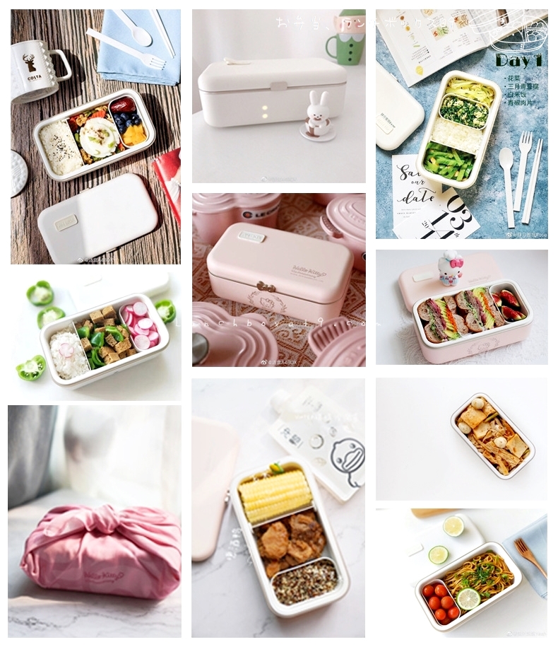 กล่องข้าวไฟฟ้าพกพา รุ่น Standard