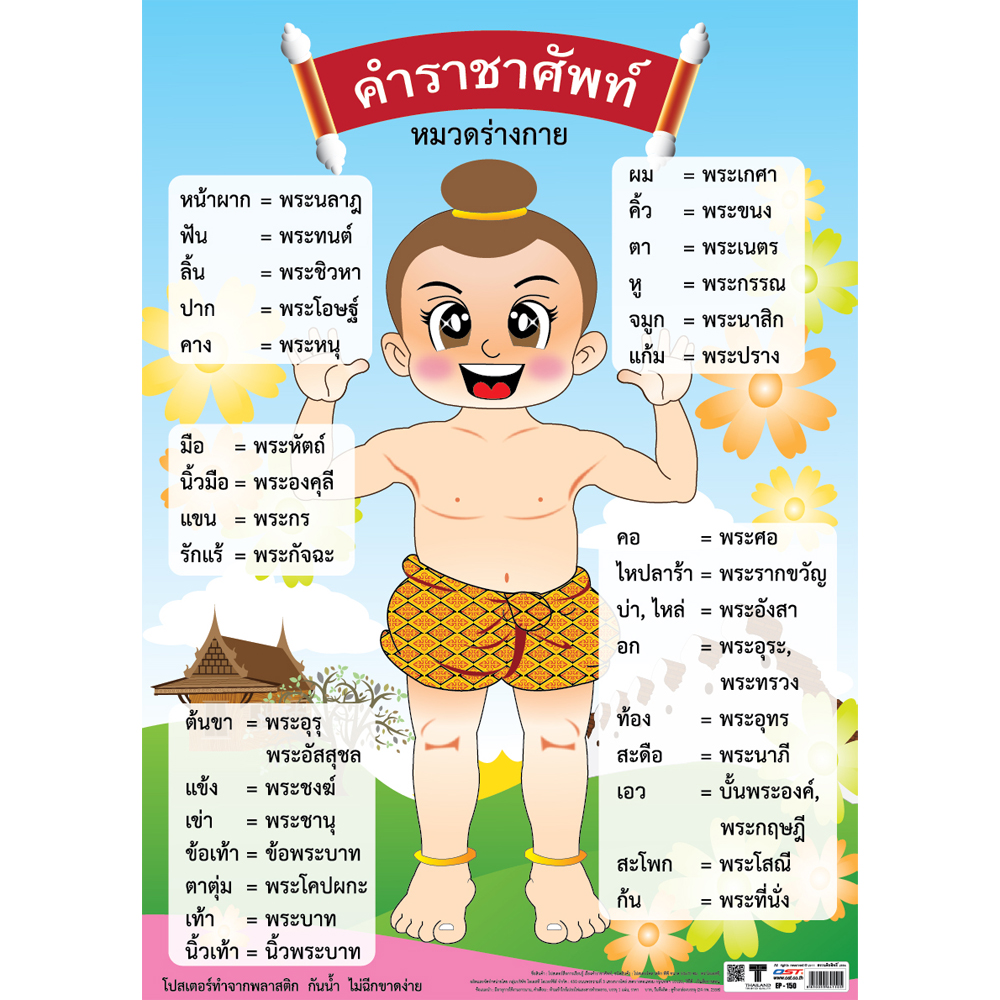Thai Royal Words Parts Of Body Educational Posters No.150