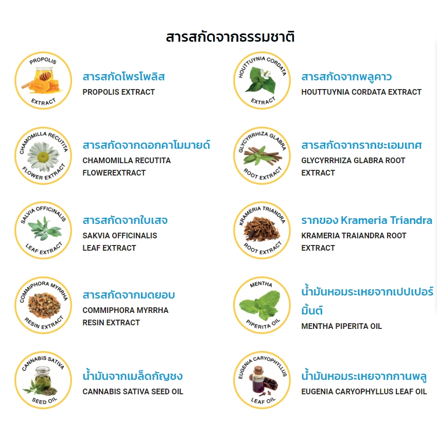 PLU-LIS MAX REFRESHING MOUTH SPRAY พลู-ลิส แม็กซ์ รีเฟรชชิ่ง เม้าท์ สเปรย์ 15ml.