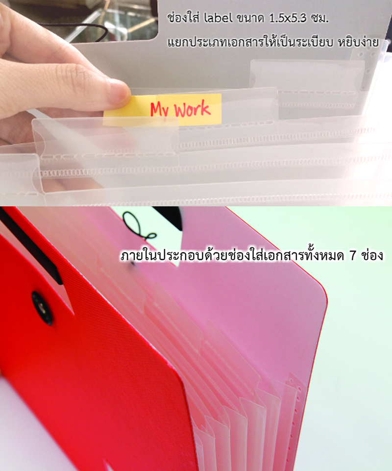 Plastic Document Bag