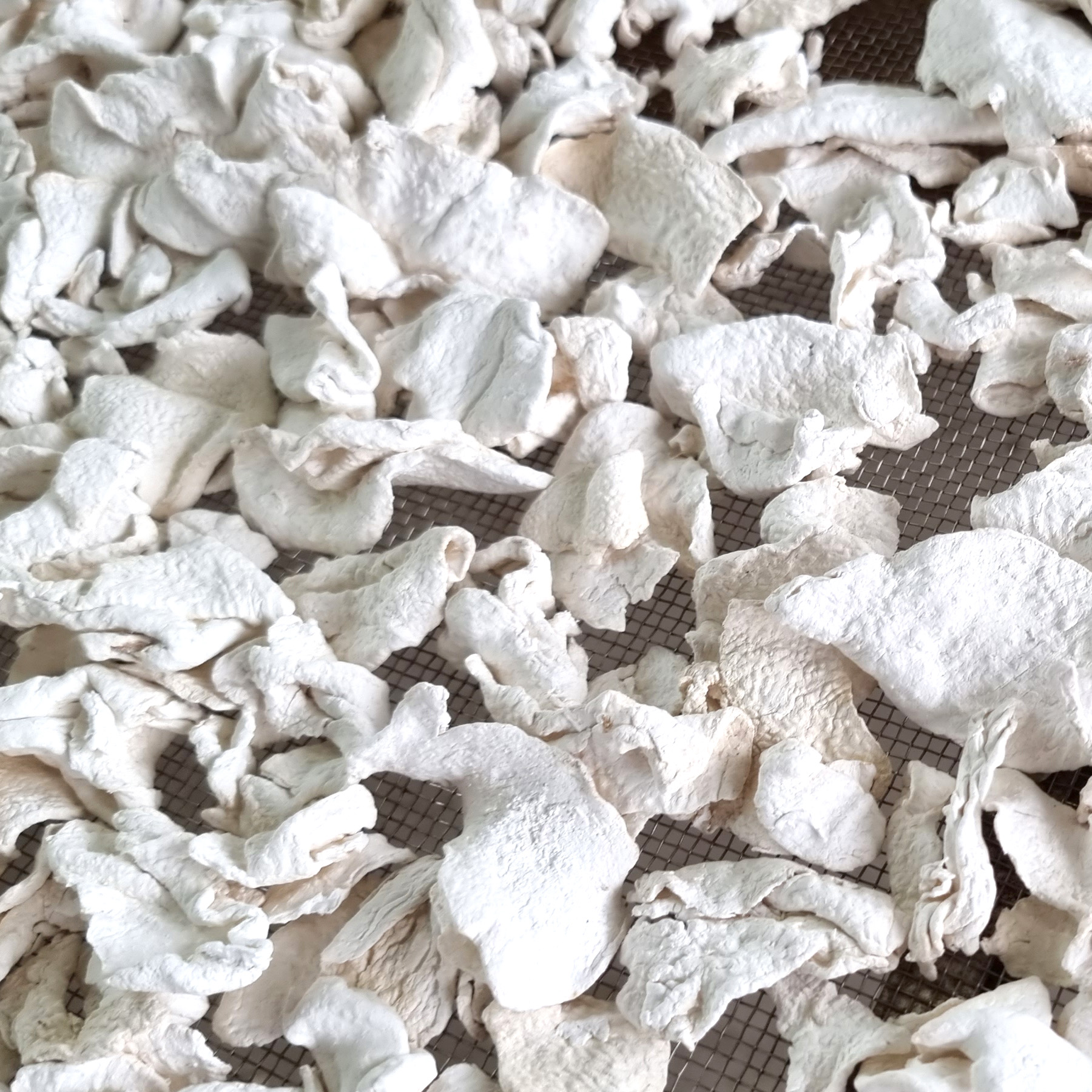 กลอยข้าวเหนียว กลอยแห้ง แผ่นใหญ่ เก็บได้นาน สำหรับนึ่งทานและเมนูอื่นๆ กลอยข้าวเหนียว ขนาด 250 กรัม