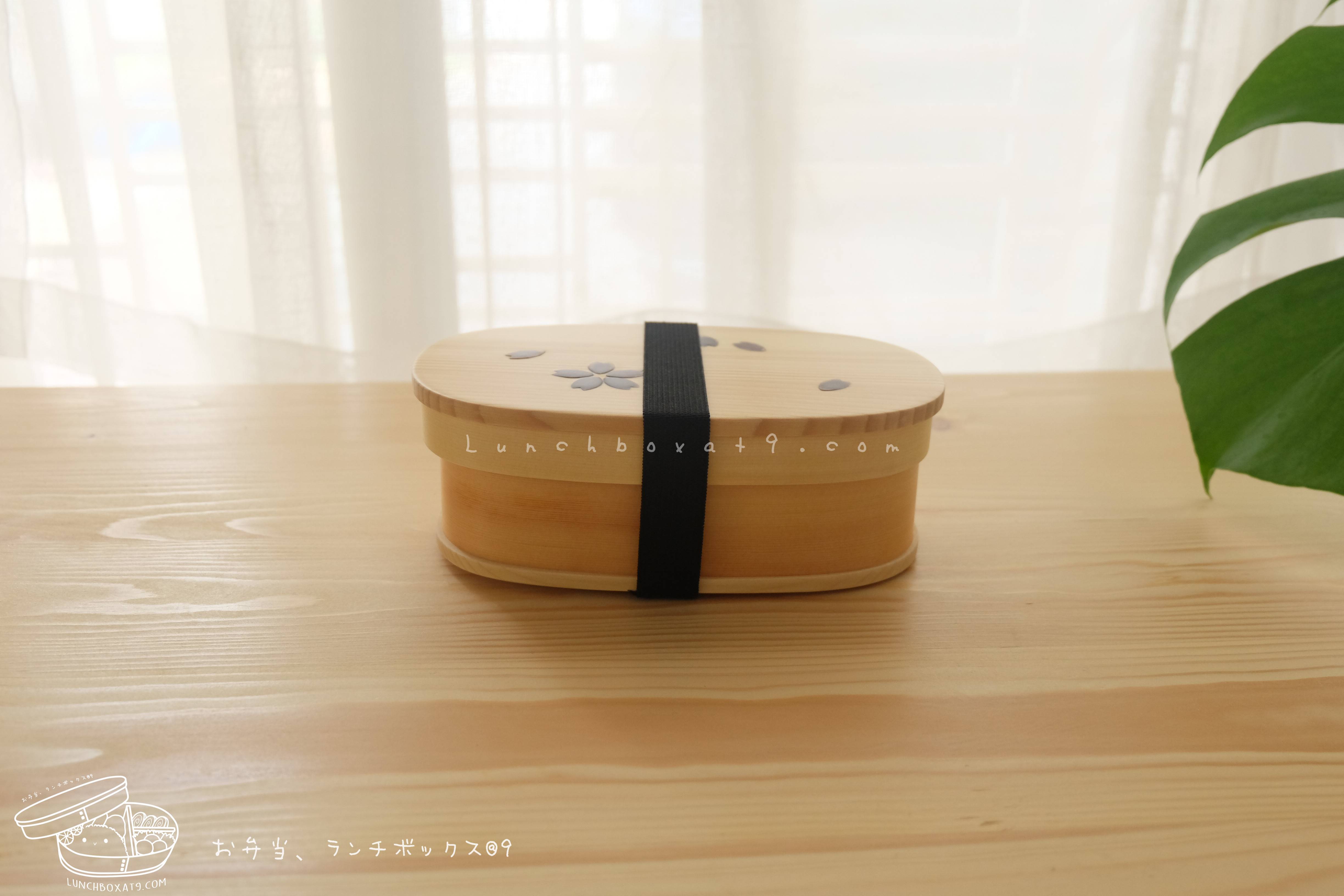 Oval Shiraki Bending magewappa Cherry Blossom Pattern bento box กล่องข้าวญี่ปุ่นทรงรี สีไม้ 1 ชั้น ลายดอกซากุระ