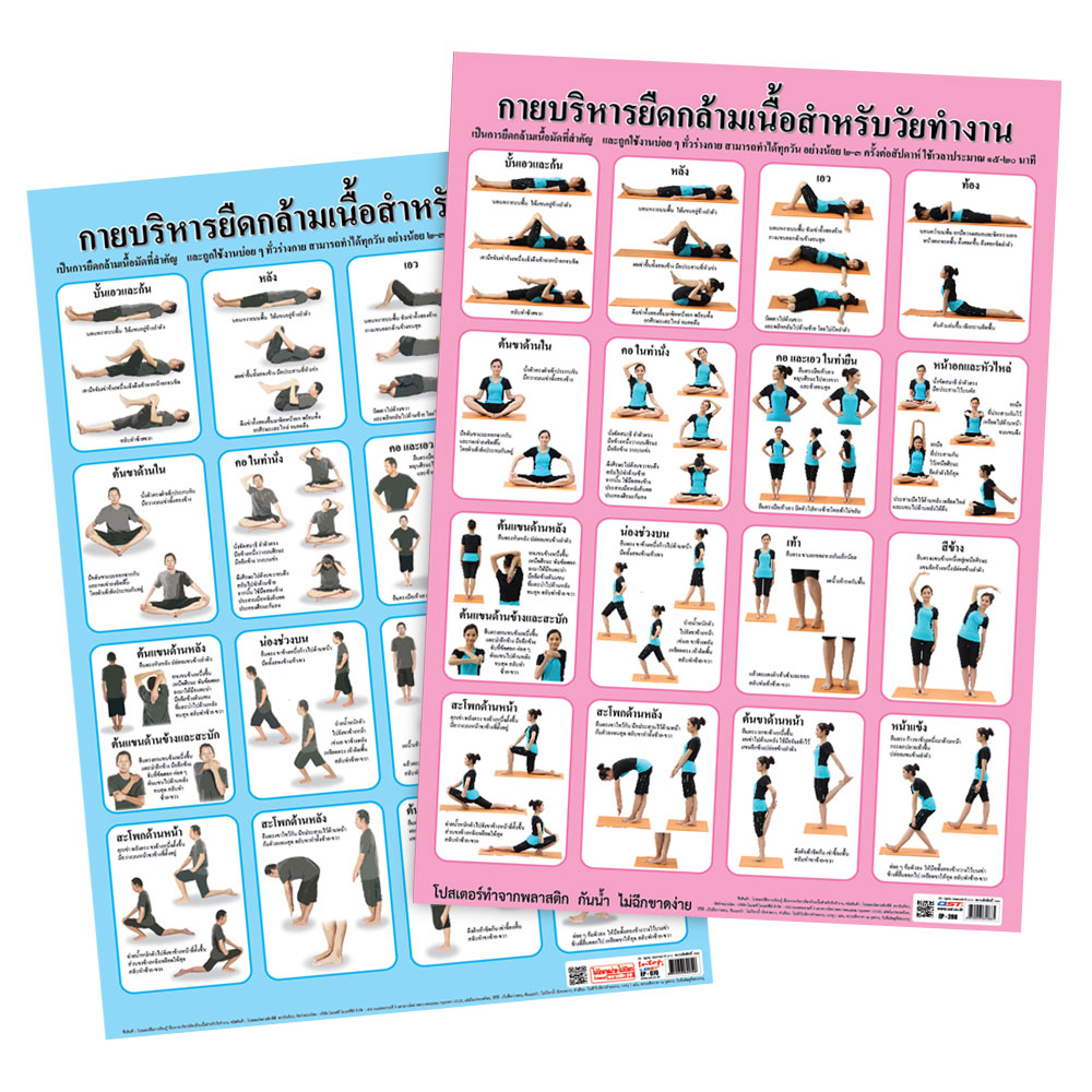 Body Stretching Exercises Educational Posters