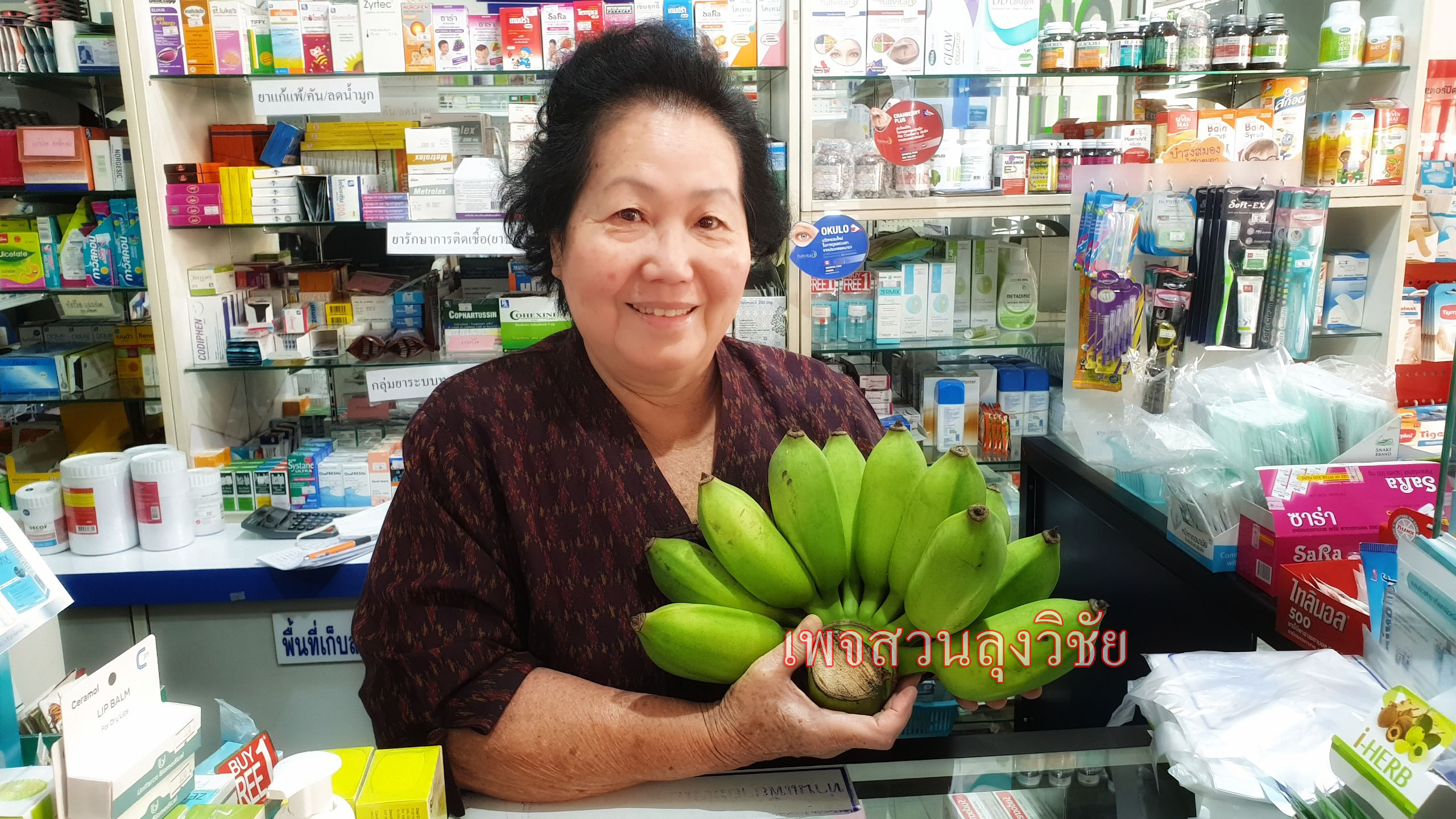 หน่อกล้วยน้ำหว้าทะลิอ่องยักษ์โบราณ 4 หน่อ ส่งฟรีทั่วไทย