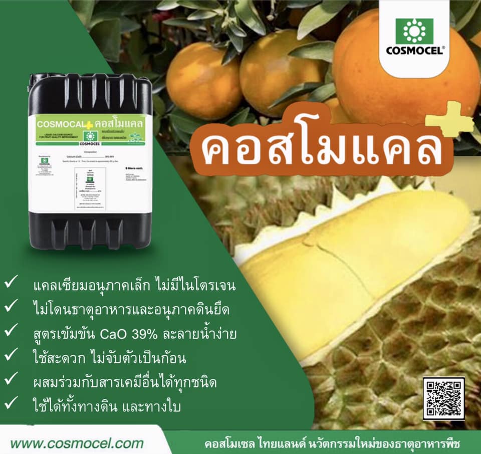 Cosmocal คอสโมแคล แคลเซียม แอล-อะมิโนคีเลต 20%CaO (Cosmocel) บรรจุ 1000 ml