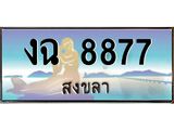 ทะเบียนรถสงขลา งฉ 8877 เลขประมูล หรูหราเหนือระดับ “งานหนัด”