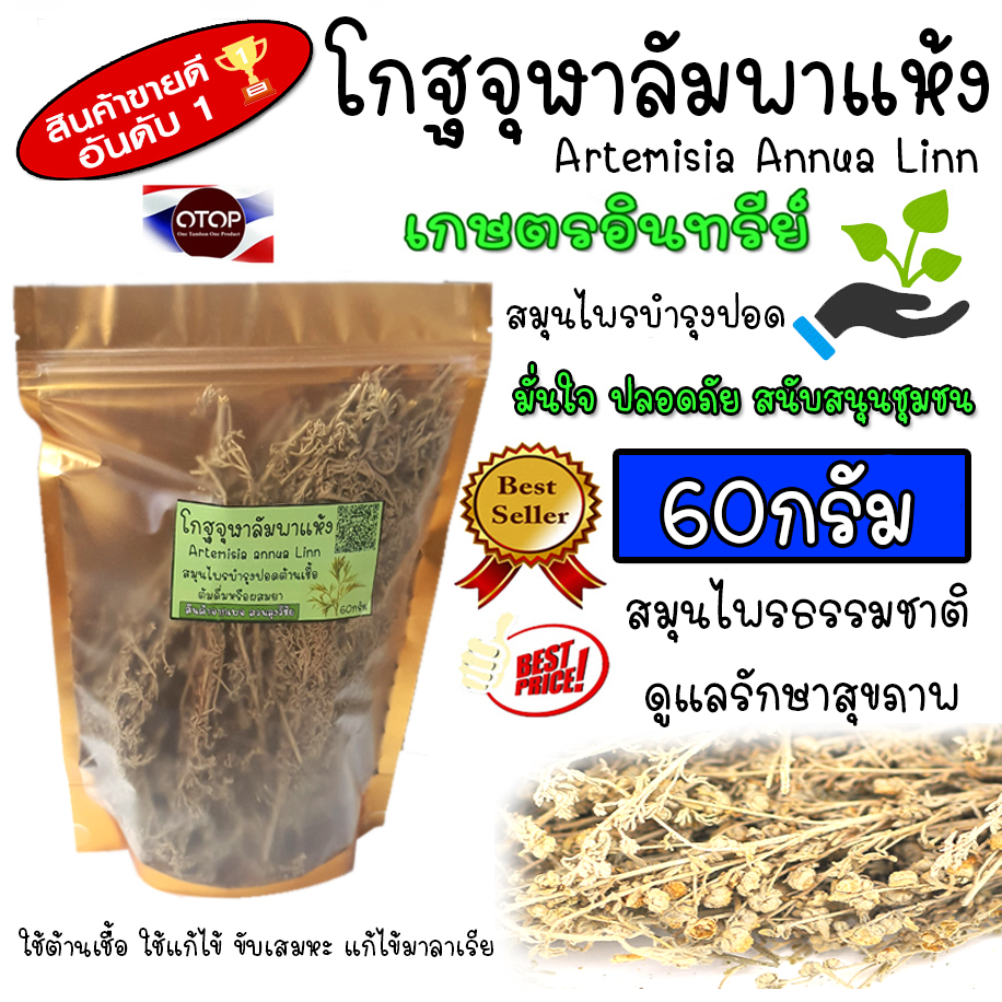 โกฐจุฬาลัมพา ของแท้ สมุนไพร โกฐจุฬาลัมพา