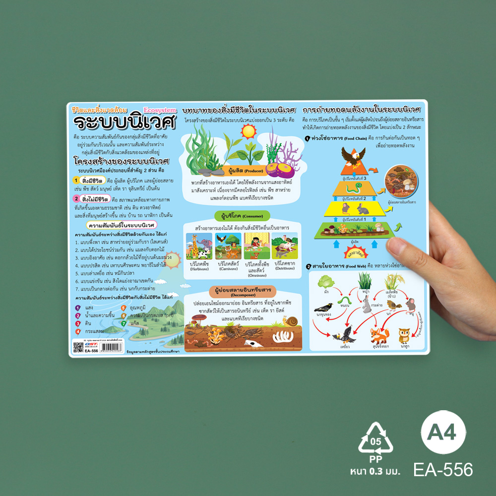 โปสเตอร์ความรู้ ชุดวิทยาศาสตร์ ขนาดA4 EA-556 ระบบนิเวศ Ecosystem