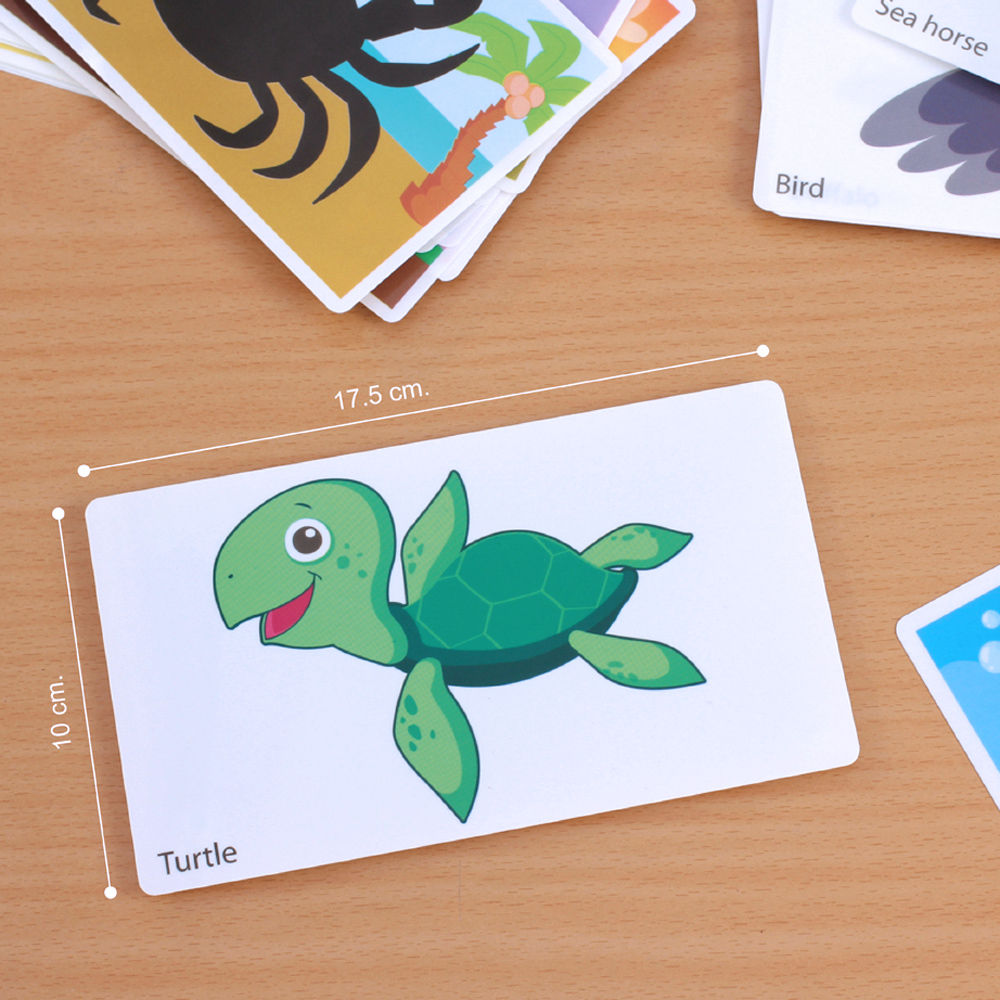 เกมจับคู่ บัตรคำศัพท์2ภาษา ไทย-อังกฤษ จับคู่เงา Shadow Matching ET-318