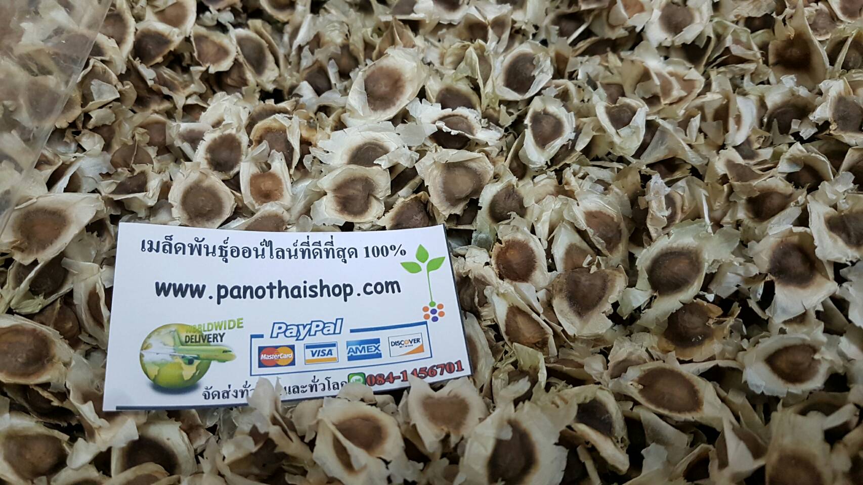 เมล็ดมะรุมแห้งคัดเกรด 1 กิโลกรัม.