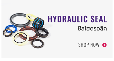 category O-ring :ยางโอริง Rod Seal : ซีลแกน Wiper Seal : ซีลกันฝุ่น Oilseal : ออยซีล Piston Seal : ซีลลูกสูบ Mechanical seal :แมคคานิคอลซีล WEAR RING : แหวนกันสึก HYDRAULIC SEAL : ซีลไฮดรอลิค Seal kits : ซีลและอุปกรณ์