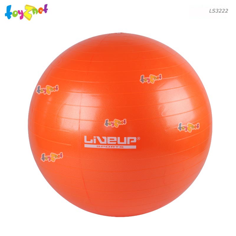 Toyznet 65cm Anti-Burst Gym Ball (Orange) No.LS3222-65CM