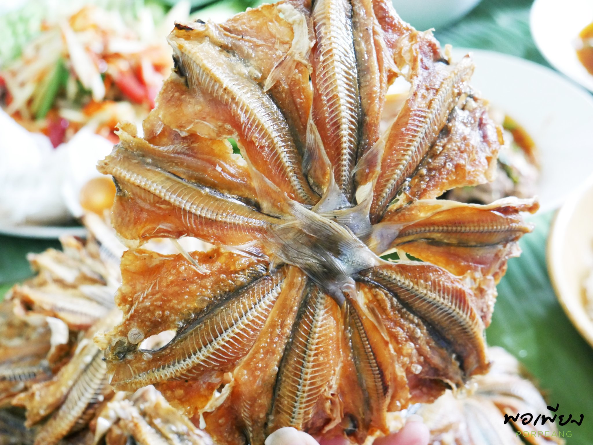 ปลาหัวโม่งตากแห้ง แพค 10วง(ปลีก)