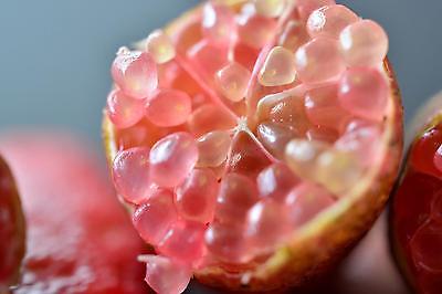 มะนาวคาเวียร์ Australian Finger Lime