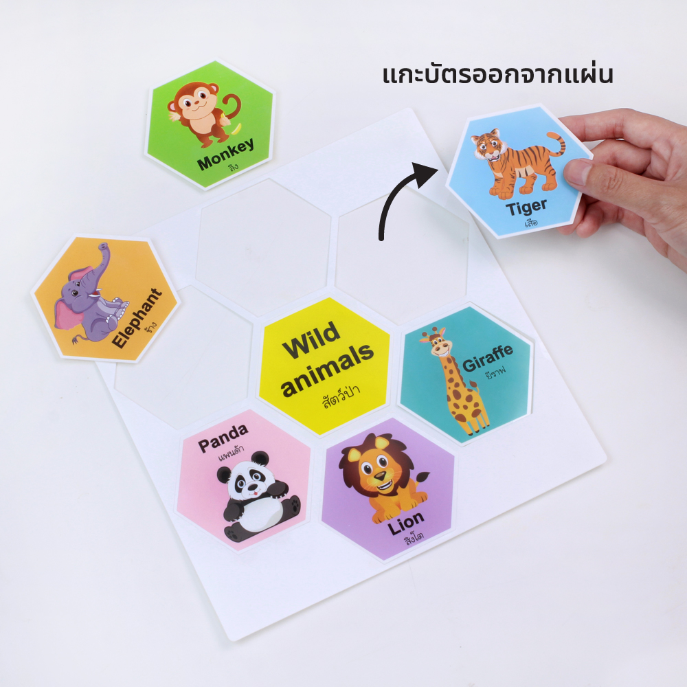 เกมต่อรังผึ้ง ชุดประเภทของสัตว์ ET-813 Animals Classification มี 6 ประเภท