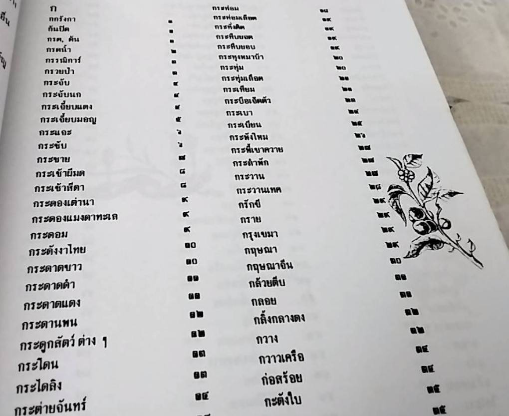 สมุนไพร ร้าน เจ้ากรมเป๋อ