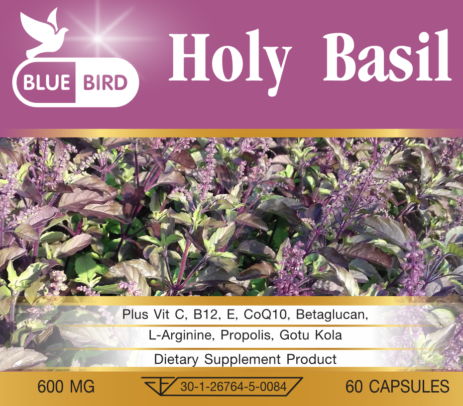 Holy Basil Plus กะเพรา พลัส ตรา บลูเบิร์ด 600 มก. 60 แคปซูล กระเพราแดง สมุนไพรกรดไหลย้อน