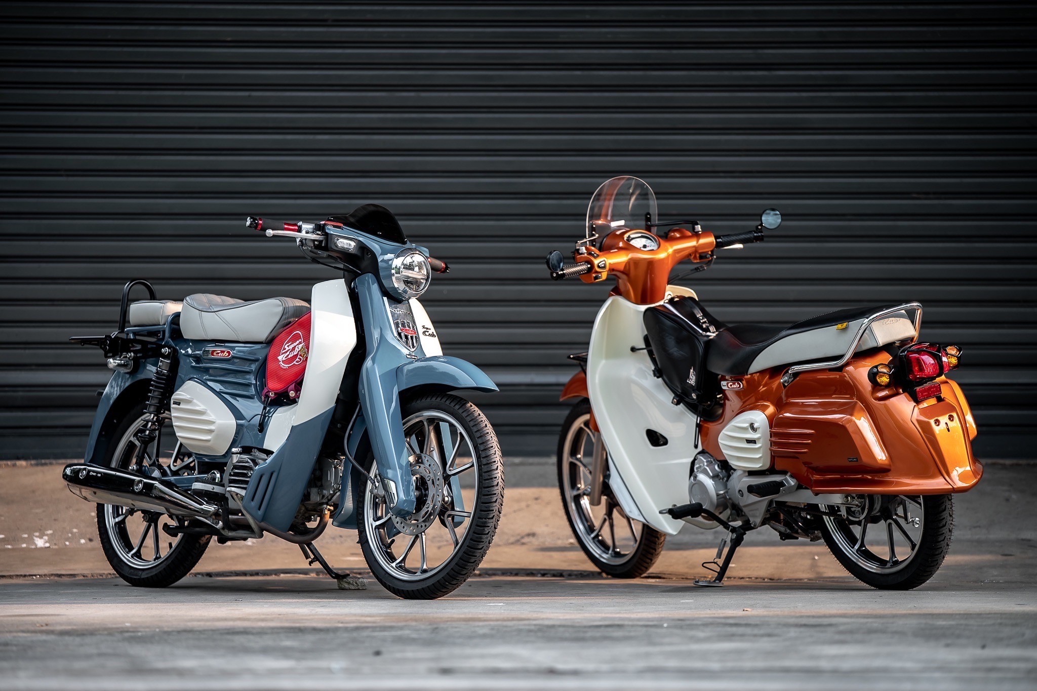 HONDA SuperCUB C125-C110 MotolordD