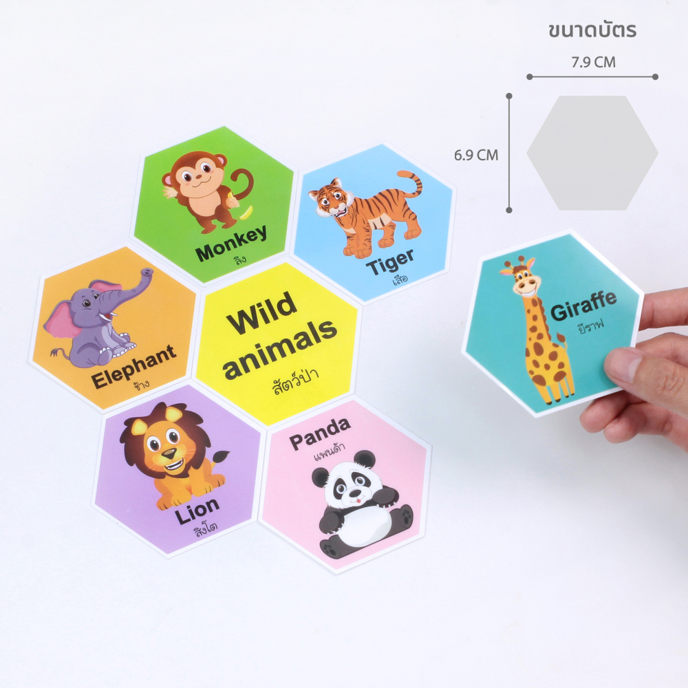 เกมต่อรังผึ้ง ชุดประเภทของสัตว์ Animals Classification ET-813-5 ขนาดบัตร