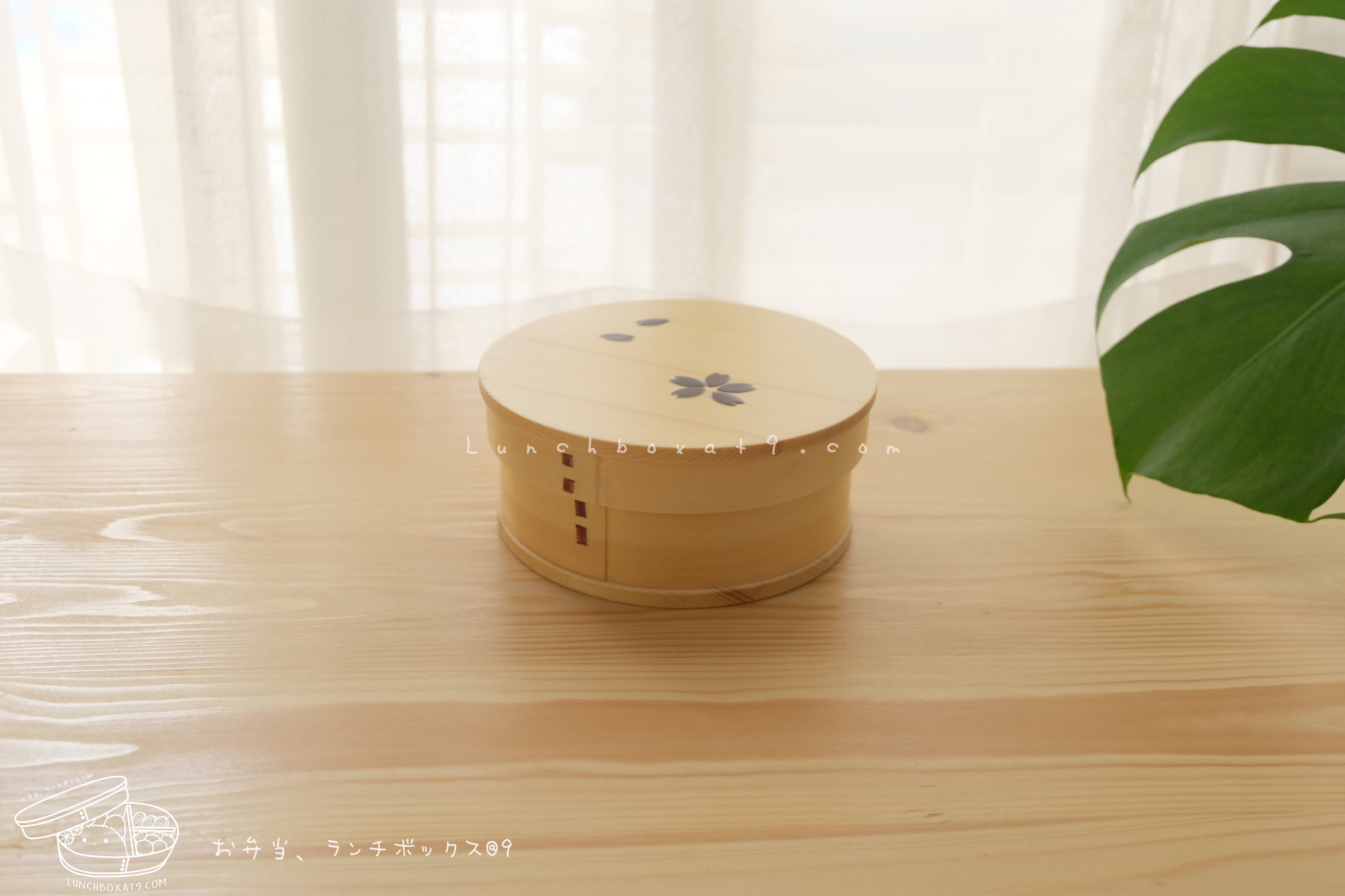 Round Shiraki Bending magewappa Cherry Blossom Pattern Bento Box กล่องข้าวญี่ปุ่นทรงกลม สีไม้ 1 ชั้น ลายดอกซากุระ
