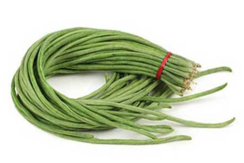 เมล็ดพันธุ์ถั่วฝักยาวเขียว