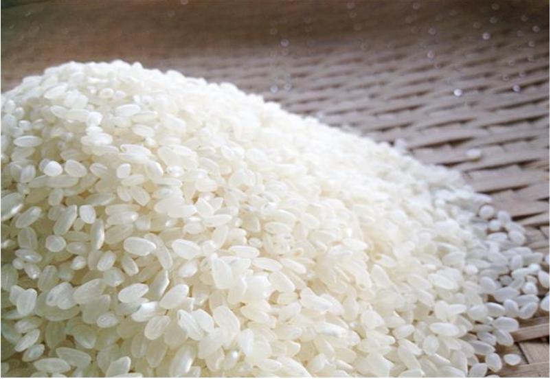 เมล็ดพันธุ์ข้าวญี่ปุ่น