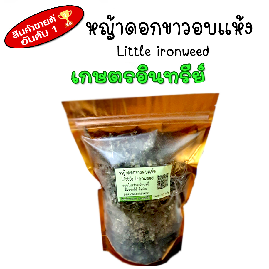 หญ้าดอกขาว หญ้าดอกขาวแห้ง หญ้าหมอน้อย ขนาด 30กรัม Little ironweed ปลูกในไทยระบบอินทรีย์ หอม สะอาด ปลอดภัยจากเคมี เกรดดีที่สุด อบด้วยพลังงานแสงอาทิตย์