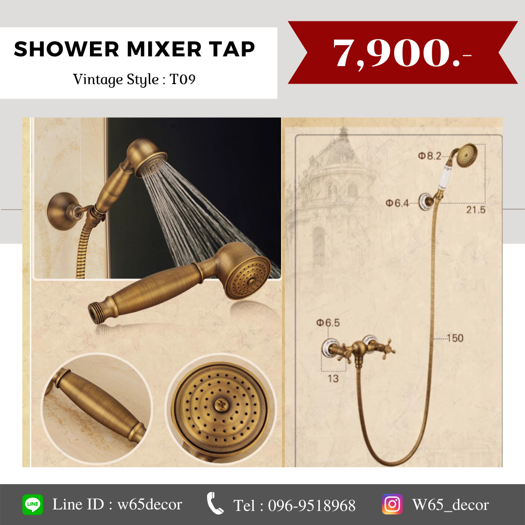 Shower mixer tap (T09)