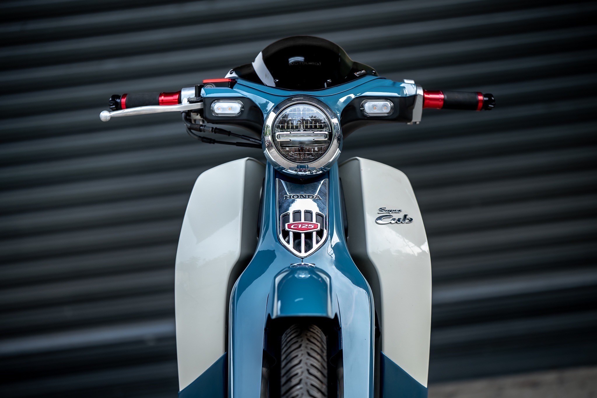 HONDA SuperCUB C125-C110 MotolordD