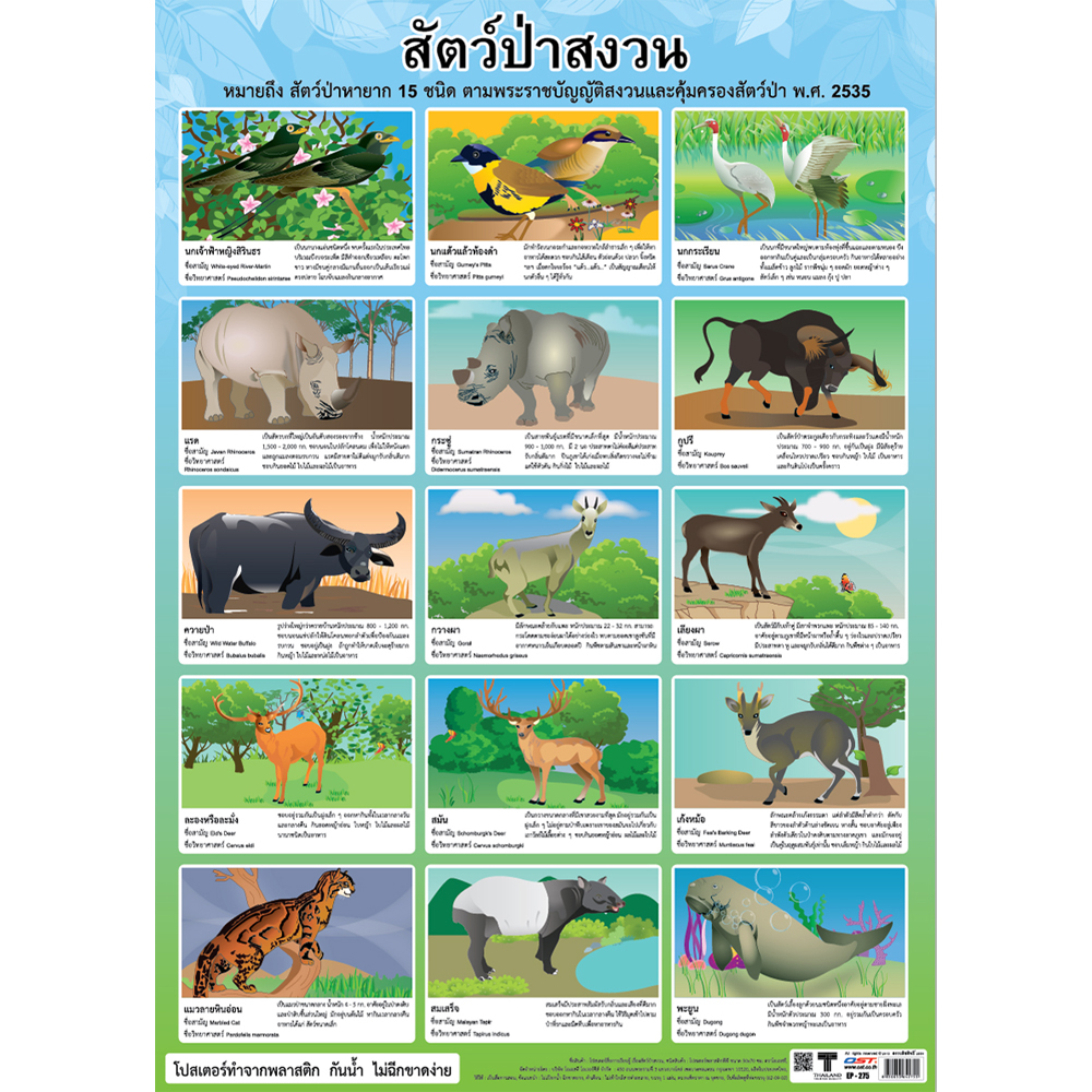 The Wild Animal Sanctuary in Thailand Educational Posters No.275