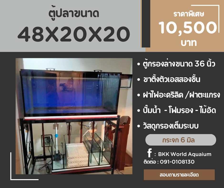 TP Service บริการรับติดตั้งตู้ปลา รับทำบ่ปลาคราฟ ตู้ปลาขนาด 48x20x20