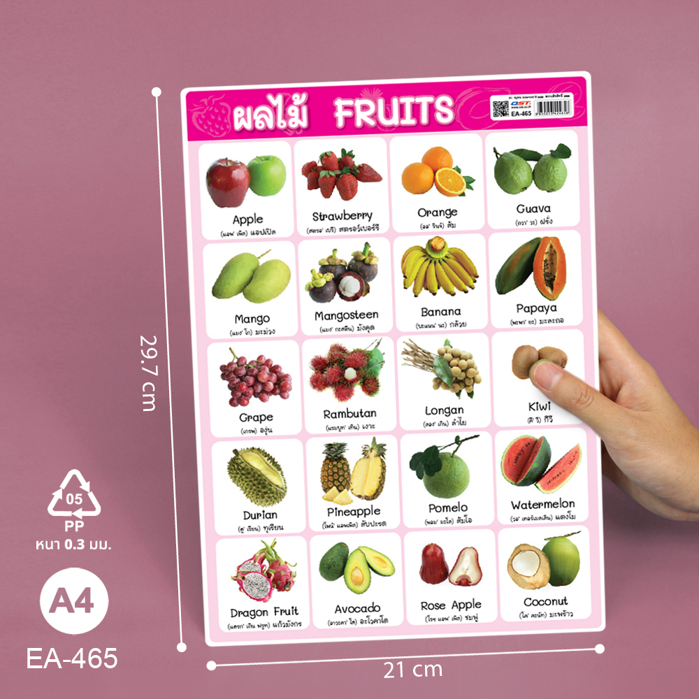 โปสเตอร์ความรู้ คำศัพท์ ไทย-อังกฤษ ชุุดพืช ขนาดA4 EA-465 ผลไม้ Fruits