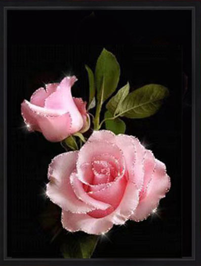 rose-1148 *สินค้าหมด* ชุดปักครอสติช ลายช่อกุหลาบชมพู (งานปักเต็มลาย ไม่มีเดินเส้น) ขนาด 45*65 ซม.ผ้าครอสติช 11CTพิมพ์ลายปักบนผ้า ไหมคอตตอน 20 สี ผังลาย เข็ม