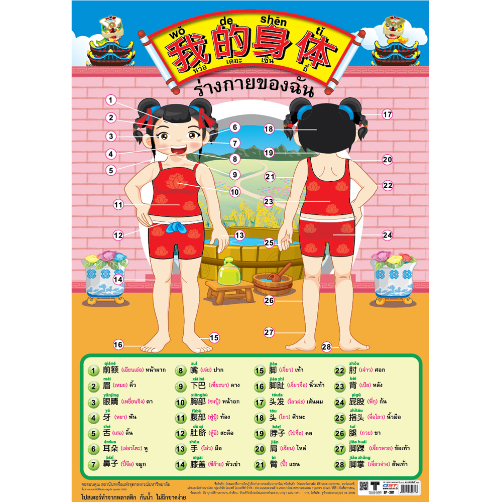 โปสเตอร์ความรู้ คำศัพท์ภาษาจีน ร่างกายของฉัน(หญิง) EP-281 EQ-281