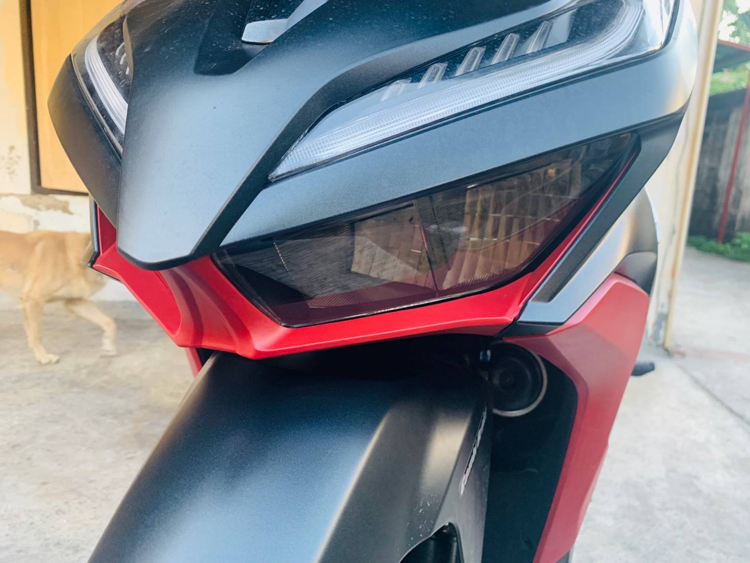 ฟิมล์ไฟหน้า Click-150i /125i ราคา200