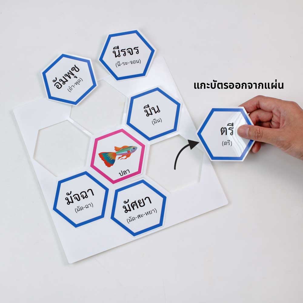 ชุดแผ่นเกมตัวต่อรังผึ้ง คำไวพจน์ คำพ้องความหมาย
