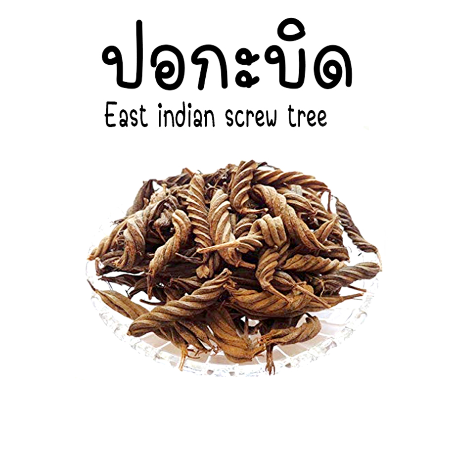 ปอกะบิด ลูกบิด ตาลบิด 100% ใหม่ Helicteres isora สะอาด ปลดแบบเกษตรอินทรีย์ ขนาด 120 กรัม