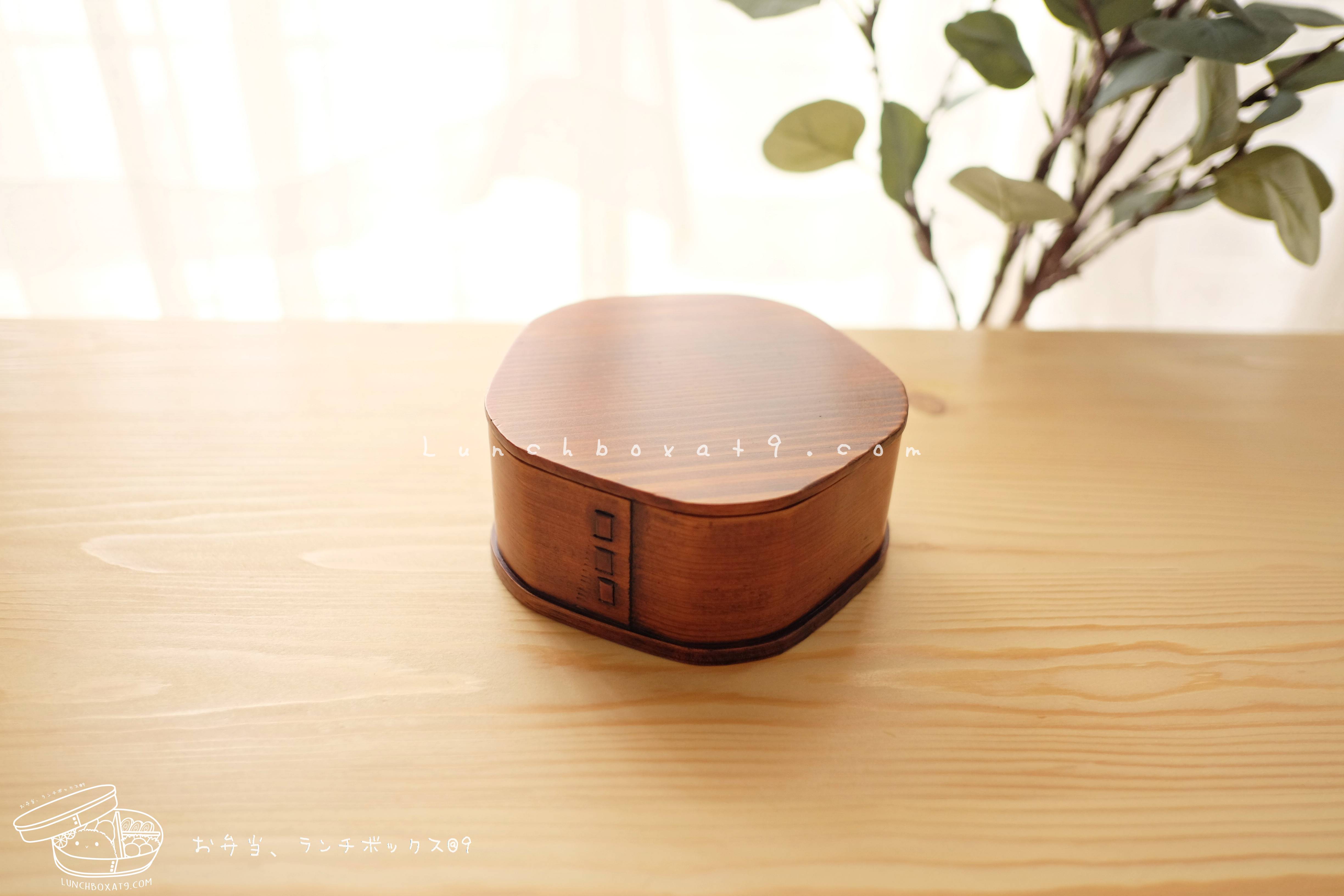 Plum blossoms Lacquered bending magewappa bento box กล่องข้าวญี่ปุ่นทรงดอกพลัมสีไม้เข้ม 1 ชั้น