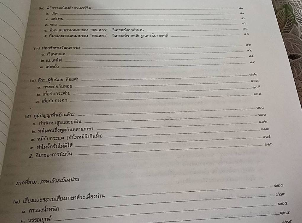 ลัวะเมืองน่าน