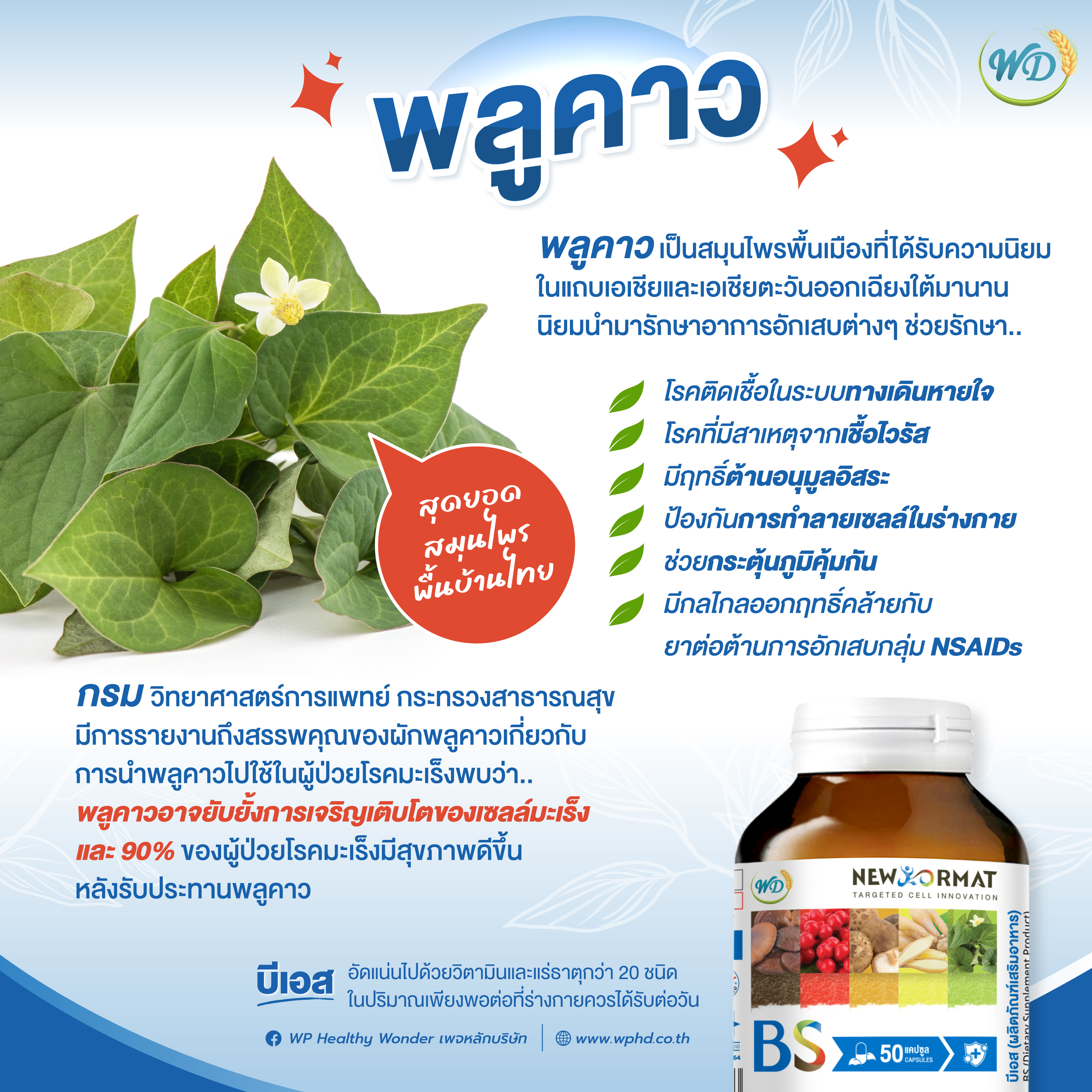 สารสกัดสมุนไพร ลดเบาหวาน ความดัน BS (3 กระปุก)