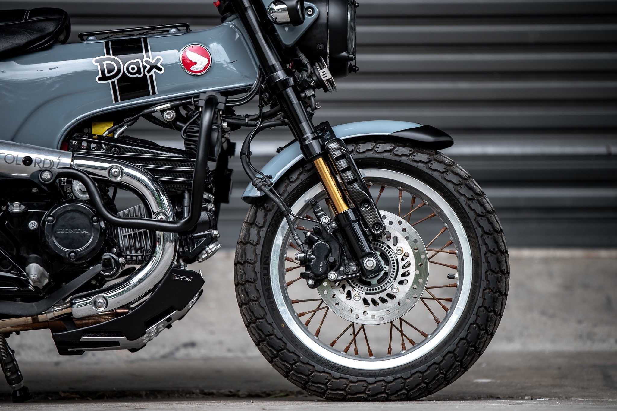 Dax125 บังโคลนหน้าทรงต่ำ V2 motolordd 2500฿