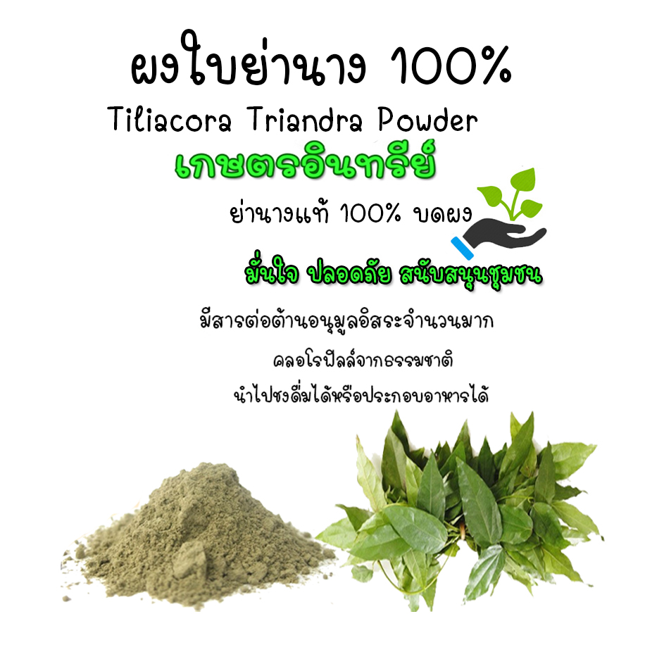 ใบย่านางอบแห้งบดผง ย่านางผงล้วน100% กลิ่นหอม สีเขียวเข้ม