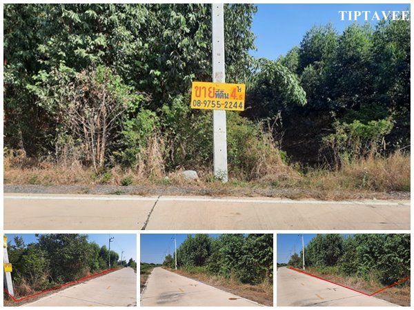 22420 ขายที่ดินวังน้อย ที่ดิน 4 ไร่ครึ่ง ลำตาเสา อยุธยา