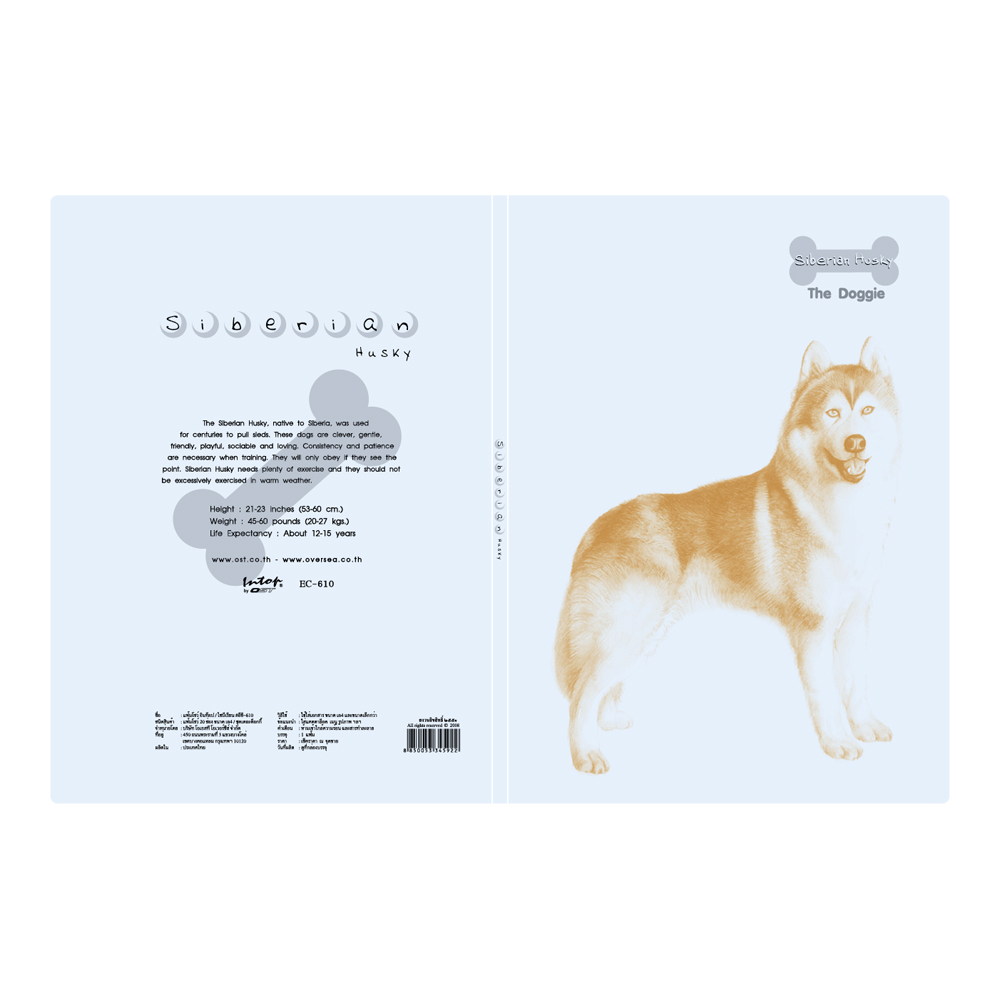 ปกหน้า-หลัง แฟ้มแคตตาล็อก A4 20ช่อง ปกลายเดอะด็อกกี้ EC-610