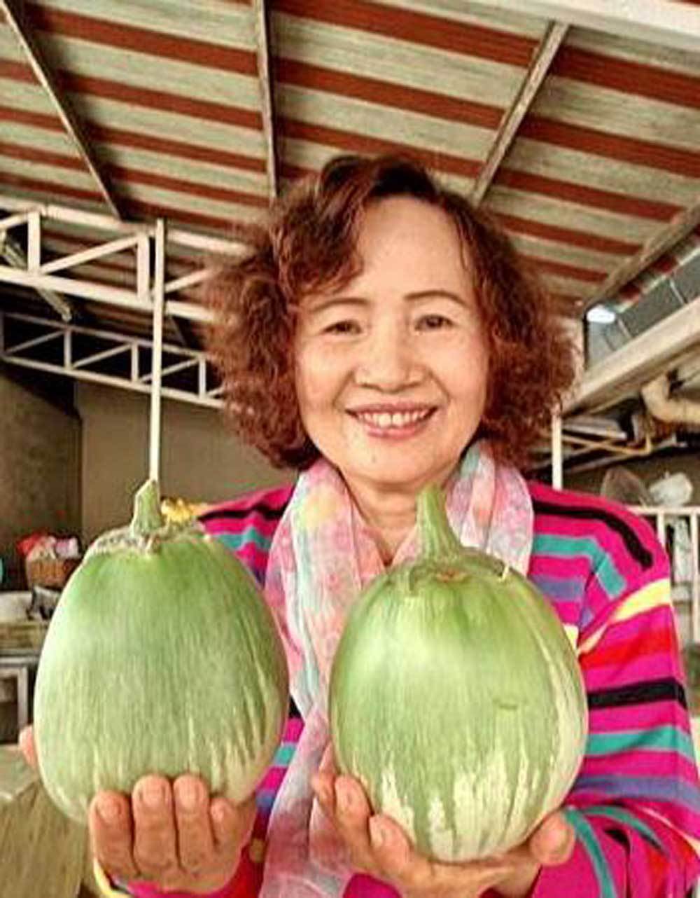 เมล็ดพันธุ์มะเขือเปราะยักษ์