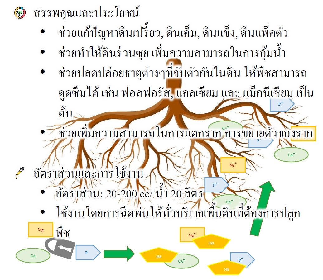 Reosoil 588 สารละลายปรับสภาพดิน : Liquid soil conditioning สารปลดปล่อยฟอสเฟต และธาตุอาหารที่ถูกตรึงไว้ในดิน บรรจุ 25 กิโลกรัม