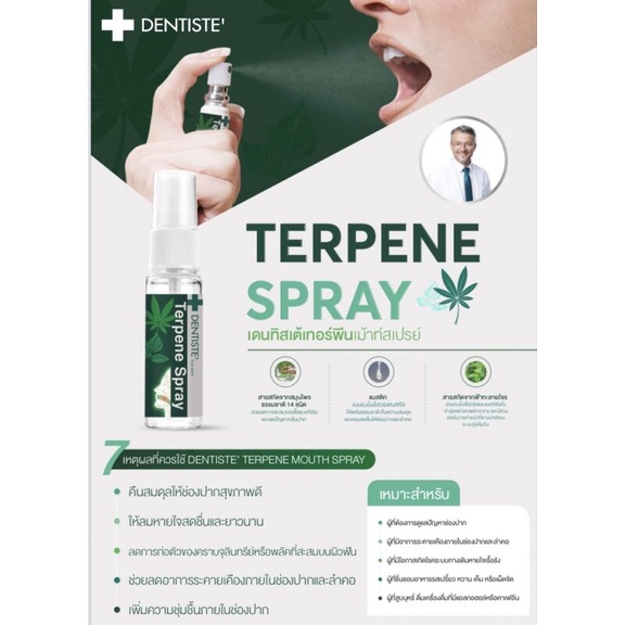 DENTISTE TERPENE MOUTH SPRAY 3 ML เดนทิสเต้ เทอร์พีน เม้าท์สเปรย์ (ขนาด 3 ML.)