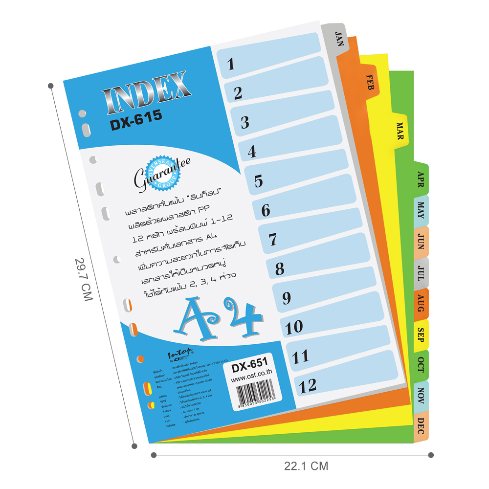 อินเด็กซ์พลาสติกคั่นเอกสาร A4 12 หยัก คละสีในชุด DX-651