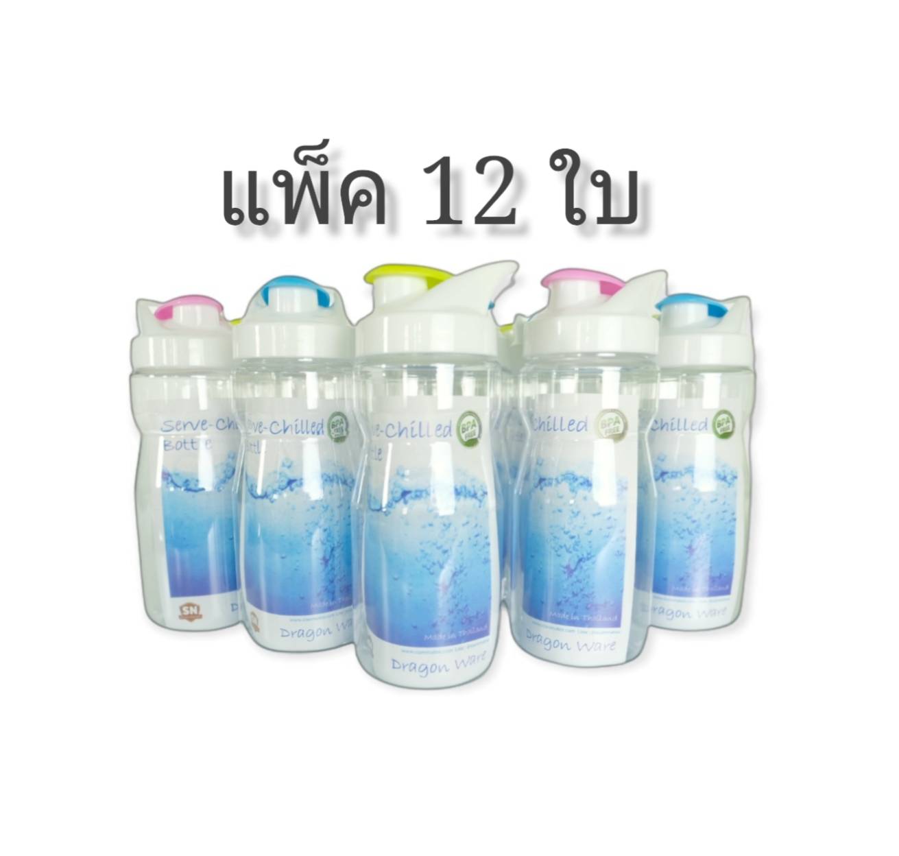 ขวดน้ำ DB-06 (SN)